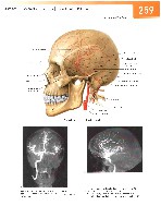 Sobotta Atlas of Human Anatomy  Head,Neck,Upper Limb Volume1 2006, page 266